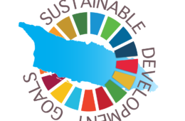 SDG-logo